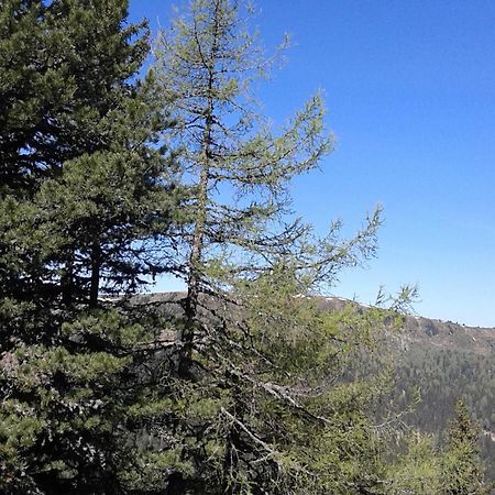 Ferienhaus Gstoderblick Lägenhet Seebach  Exteriör bild