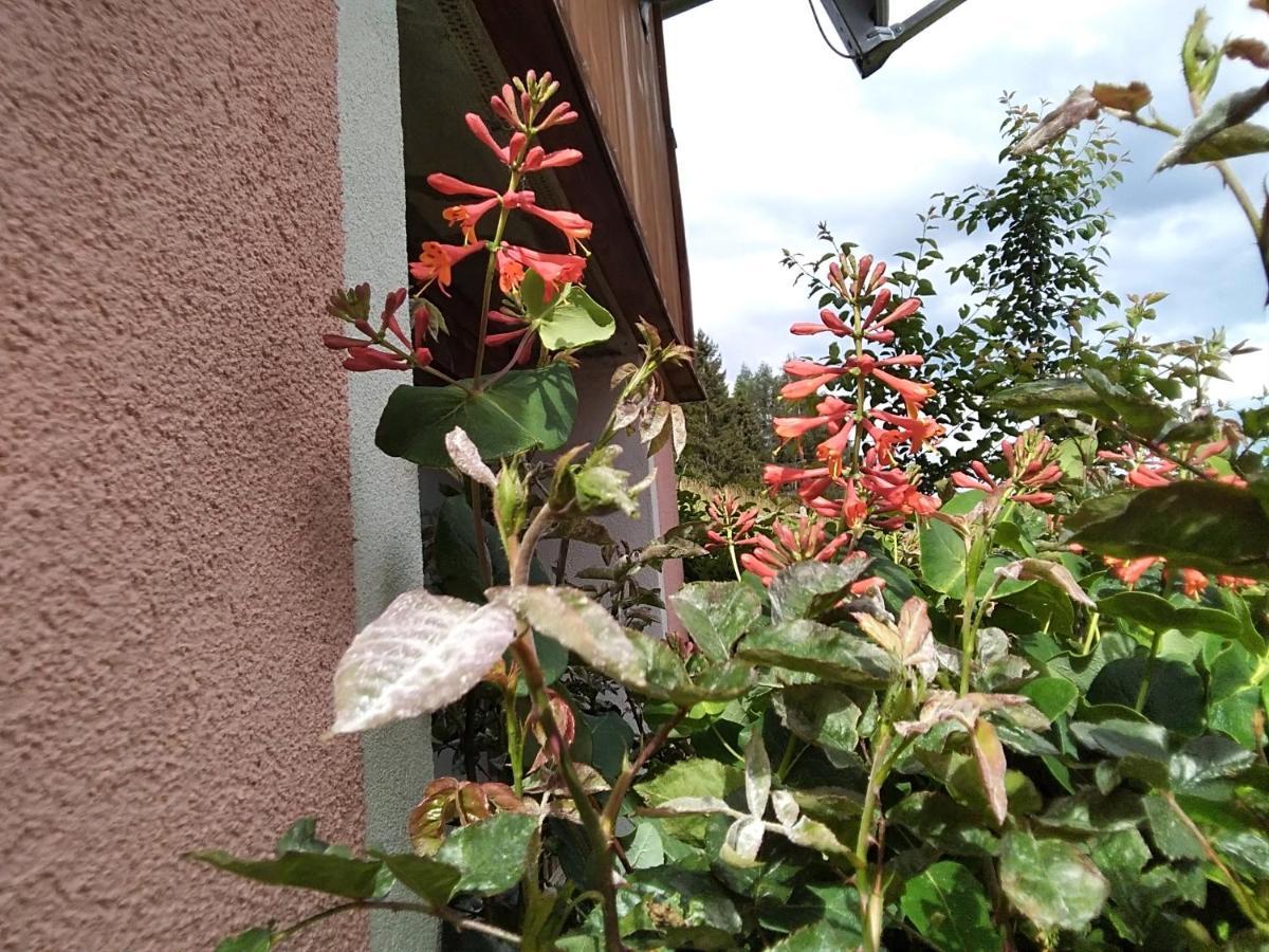 Ferienhaus Gstoderblick Lägenhet Seebach  Exteriör bild