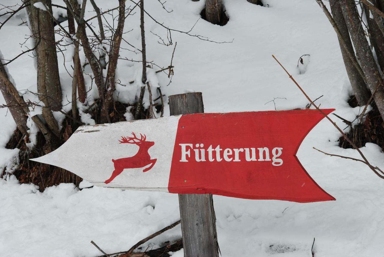 Ferienhaus Gstoderblick Lägenhet Seebach  Exteriör bild